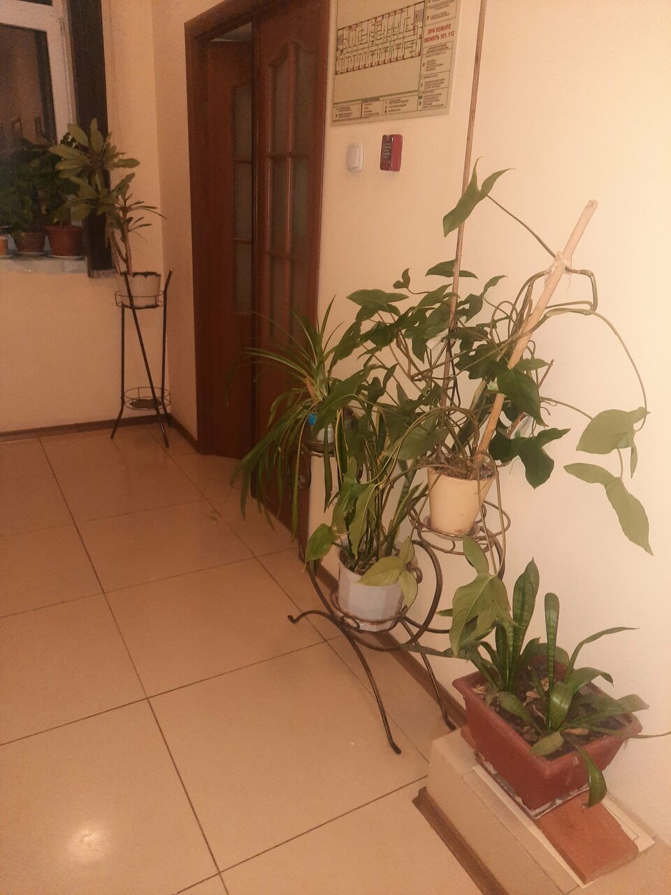 Гостиница Сулак Оренбург-79