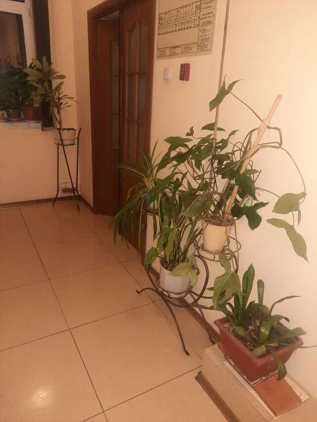 Гостиница Сулак Оренбург-78